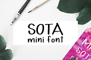 Sota Mini Font, a Sans Serif Font by Hewitt Avenue (Thumbnail 1 of 4)