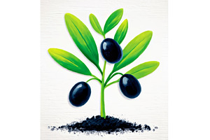 The microgreen sprouts watercolor, a Nature Photo by ZinetroN