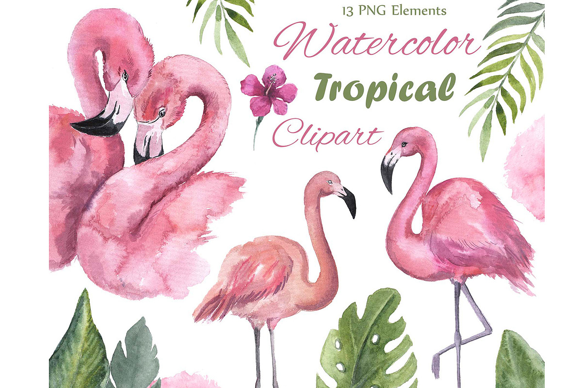 Watercolor Flamingo Clipart. Tropic, an Animal Illustration by KomtsyanTatyanaArt (Photo 1 of 7)