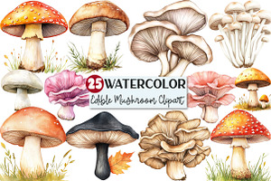 Watercolor Edible Mushroom Clipart, an Illustration by Rose Art