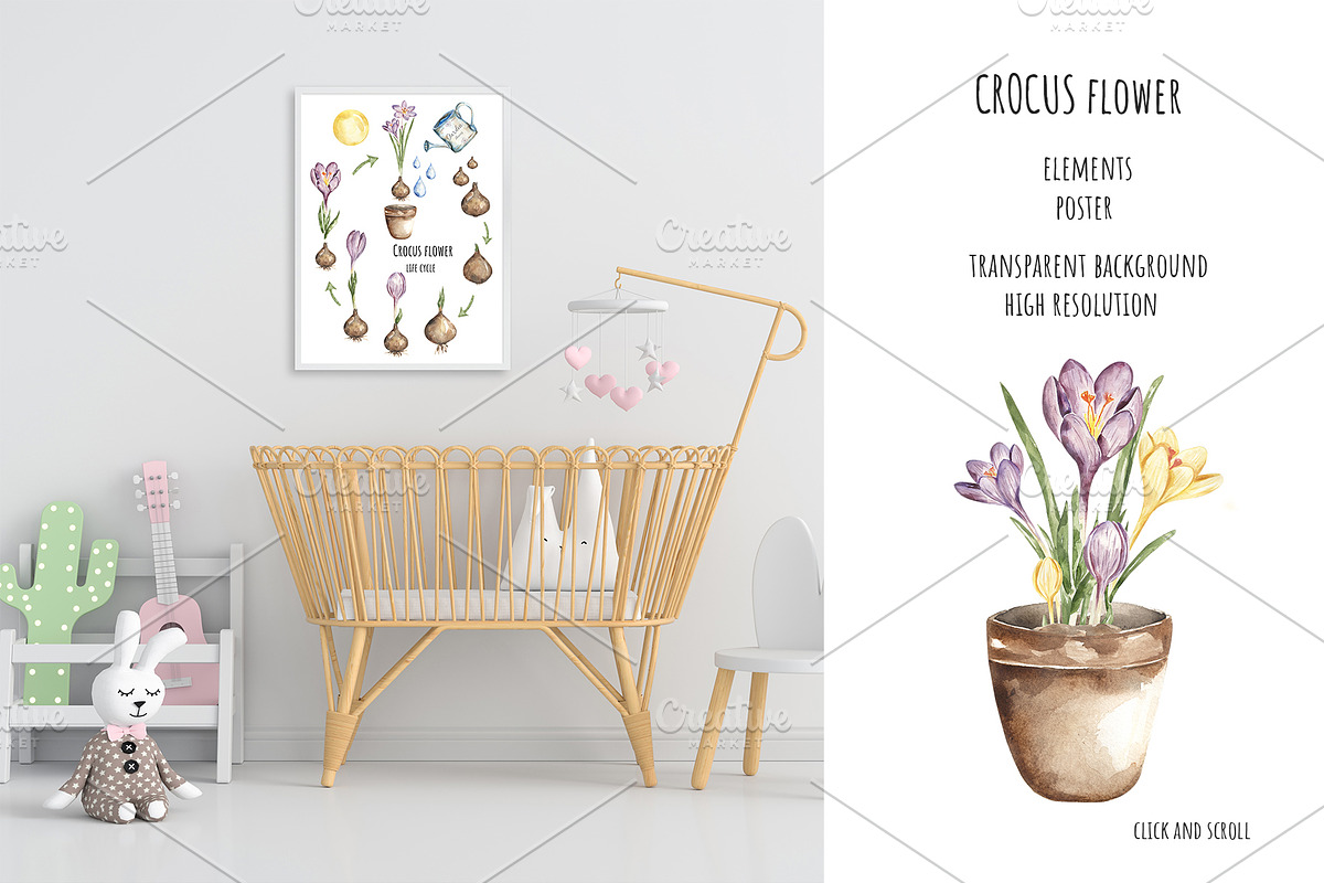 Watercolor Plant Life Cycle, an Education Illustration by MayaNavits (Photo 4 of 10)