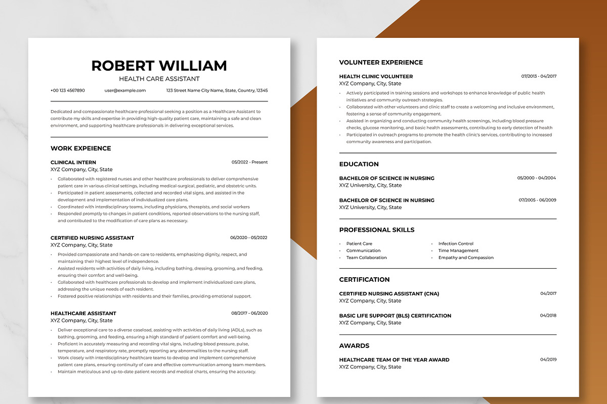 Health Care Assistant Resume Template preview 3