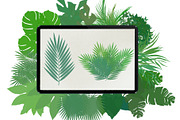 Palm leaves brushes for Procreate, a Brush Add-On by AnastasiyaOleynik (Thumbnail 7 of 12)