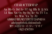 Tasero || Modern Classy Serif Font, a Serif Font by Idea Studio (Thumbnail 10 of 10)