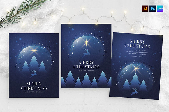 Winter Christmas Flyer Template preview 6