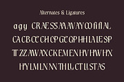 Luxustile – Elegant Serif Font, a Serif Font by MERCI STUDIO (Thumbnail 9 of 9)