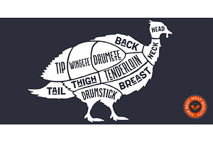 Turkey, poultry, hand-drawn