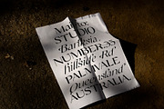Champagne Cartel, a Serif Font by Tropical Type (Thumbnail 2 of 18)