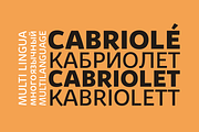 Kabrio - 56 Fonts, a Sans Serif Font by Zetafonts (Thumbnail 11 of 11)