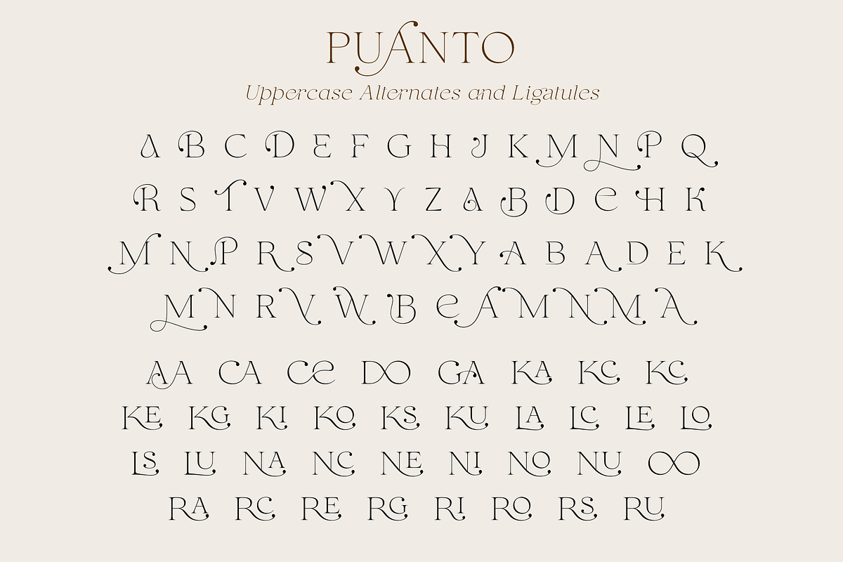 Puanto, a Serif Font by Larin Type Co. (Photo 14 of 15)