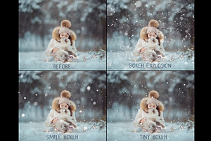 Bokeh Snow Overlays