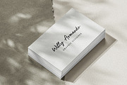 Bleury Saint Modern Script Font, a Script Font by Heinzel Std (Thumbnail 3 of 14)