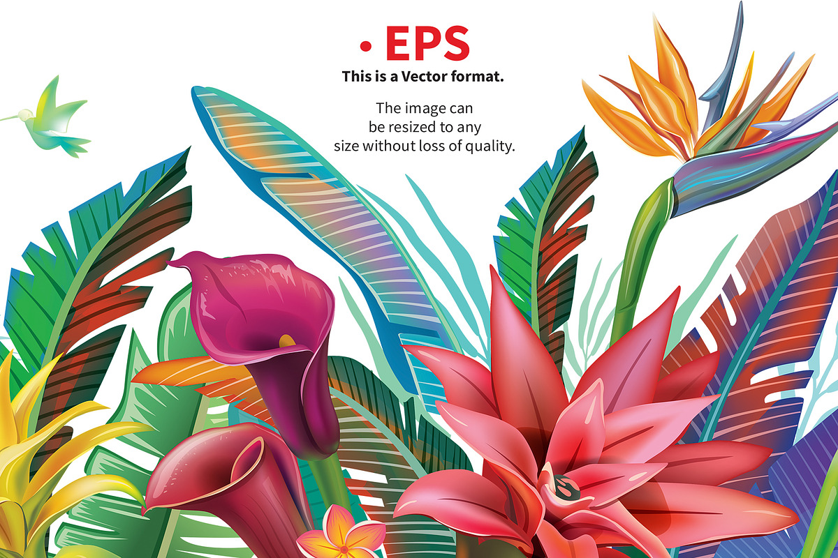Tropical Flowers Arrangement borders, a Seasonal Illustration by ViktoriaARTprint (Photo 2 of 4)