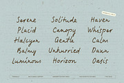 Tranquilly | Handwritten Font, a Handwritten Font by type peace (Thumbnail 14 of 19)