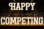 Megolan New Display Sans Serif Font, a Sans Serif Font by Storytype Studio (Thumbnail 8 of 15)