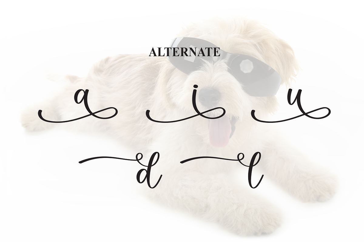 Bernard | Script Font, a Handwritten Font by Scratchones (Photo 8 of 9)
