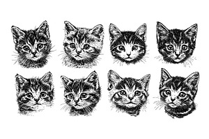 Cute Kitten Portraits Set Ink Pen, an Animal Illustration by LadadikArt