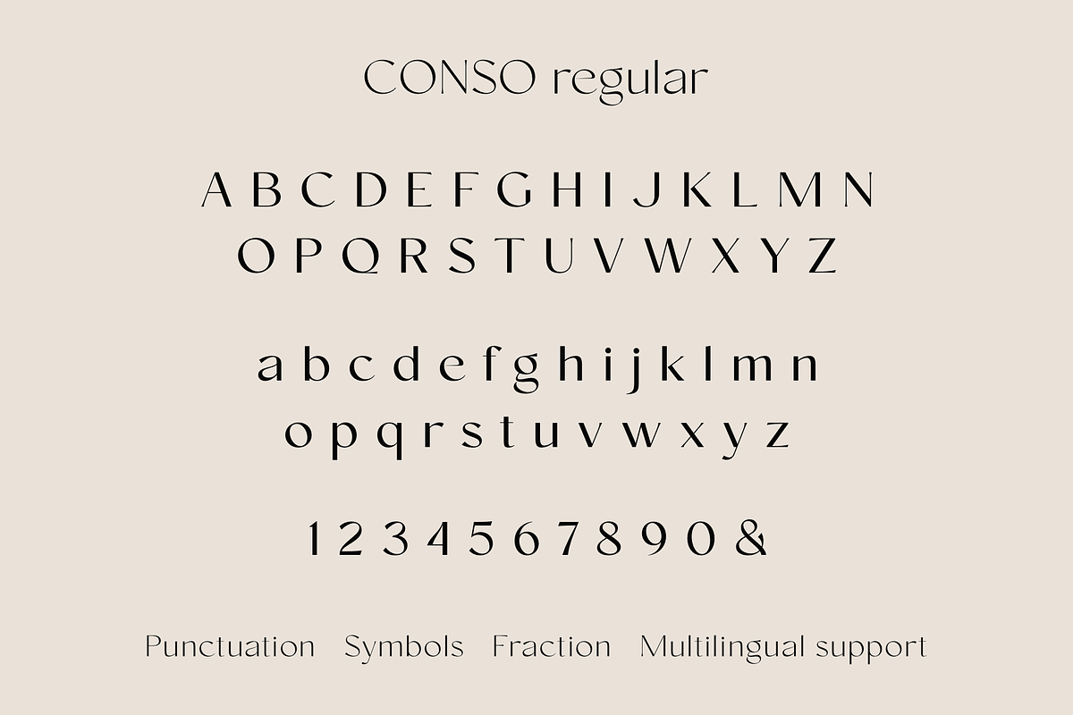 Conso | Font Family, a Sans Serif Font by Larin Type Co. (Photo 14 of 15)