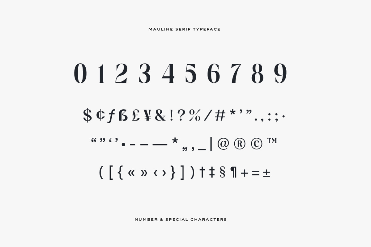 Mauline Display Serif Font, a Serif Font by Yukita Creative (Photo 10 of 12)