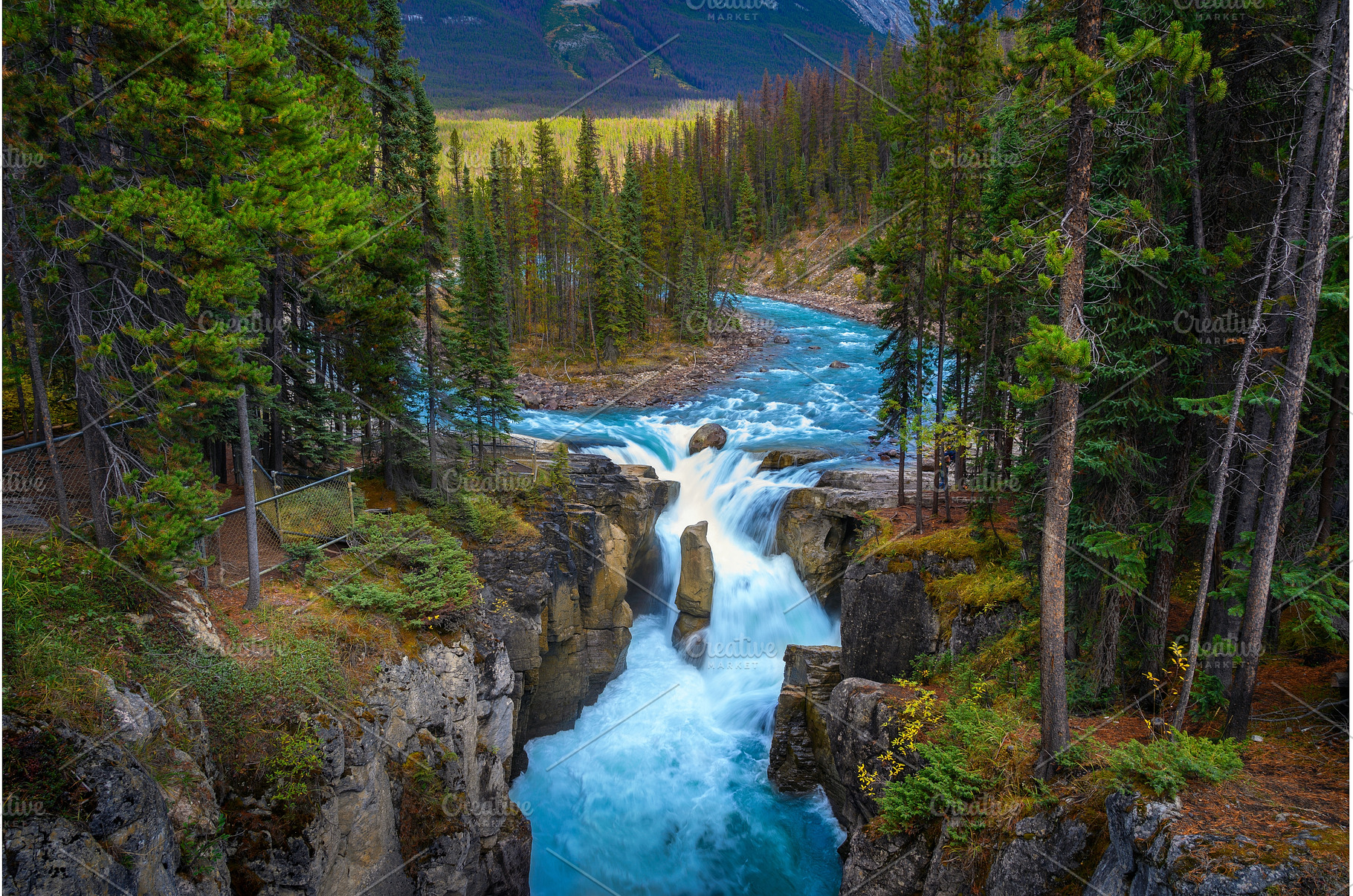 Sunwapta Falls in Jasper National, a Nature Photo by Nick Fox