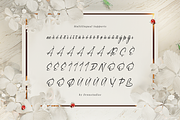 Simsalty Barthilon Elegant Signature, a Script Font by Denustudios (Thumbnail 11 of 12)