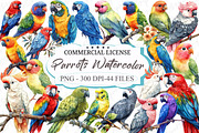 Parrots Watercolor Clipart, an Illustration by designcity5 (Thumbnail 1 of 5)