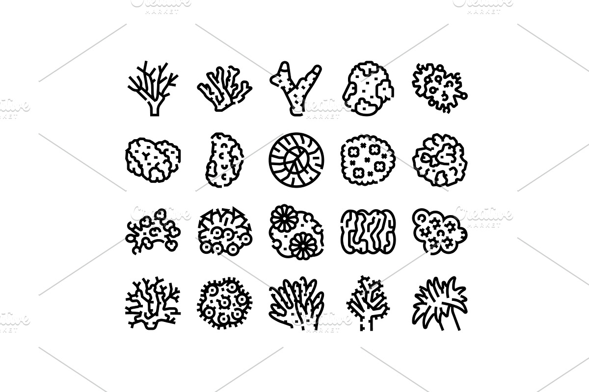 Underwater coral reef marine, an Animal Illustration by pikepicture