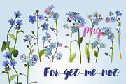 Watercolor set - forget-me-nots, a Decorative Illustration by My art shop (Thumbnail 1 of 2)