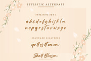 Shall Blossom-Lovely Brush Font, a Script Font by din-studio.com (Thumbnail 6 of 10)