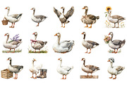 Watercolor Rustic Goose Clipart, an Illustration by Designking (Thumbnail 2 of 5)