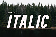 Huckleby | Vintage Sans Serif Family, a Sans Serif Font by Zone 6 (Thumbnail 7 of 8)