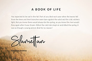 Autumn Fairy Signature Monoline Font, a Script Font by Giant Design (Thumbnail 6 of 10)