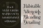 Coraline, a Serif Font by Zafiratype (Thumbnail 12 of 12)
