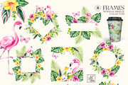 Tropical Breeze Clipart & Patterns, a Seasonal Illustration by SashaKondr (Thumbnail 11 of 13)
