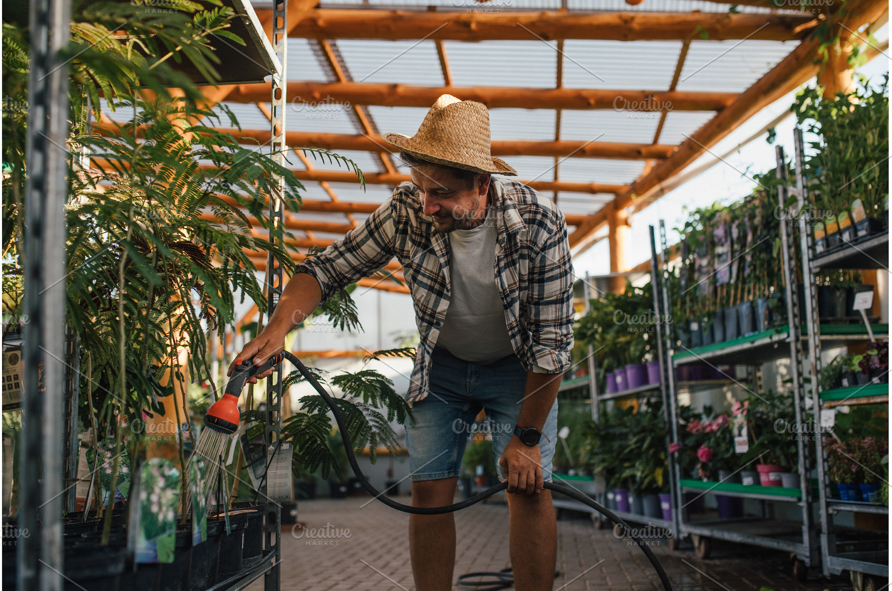 Florist caring for plants, watering, a Nature Photo by HalfPoint