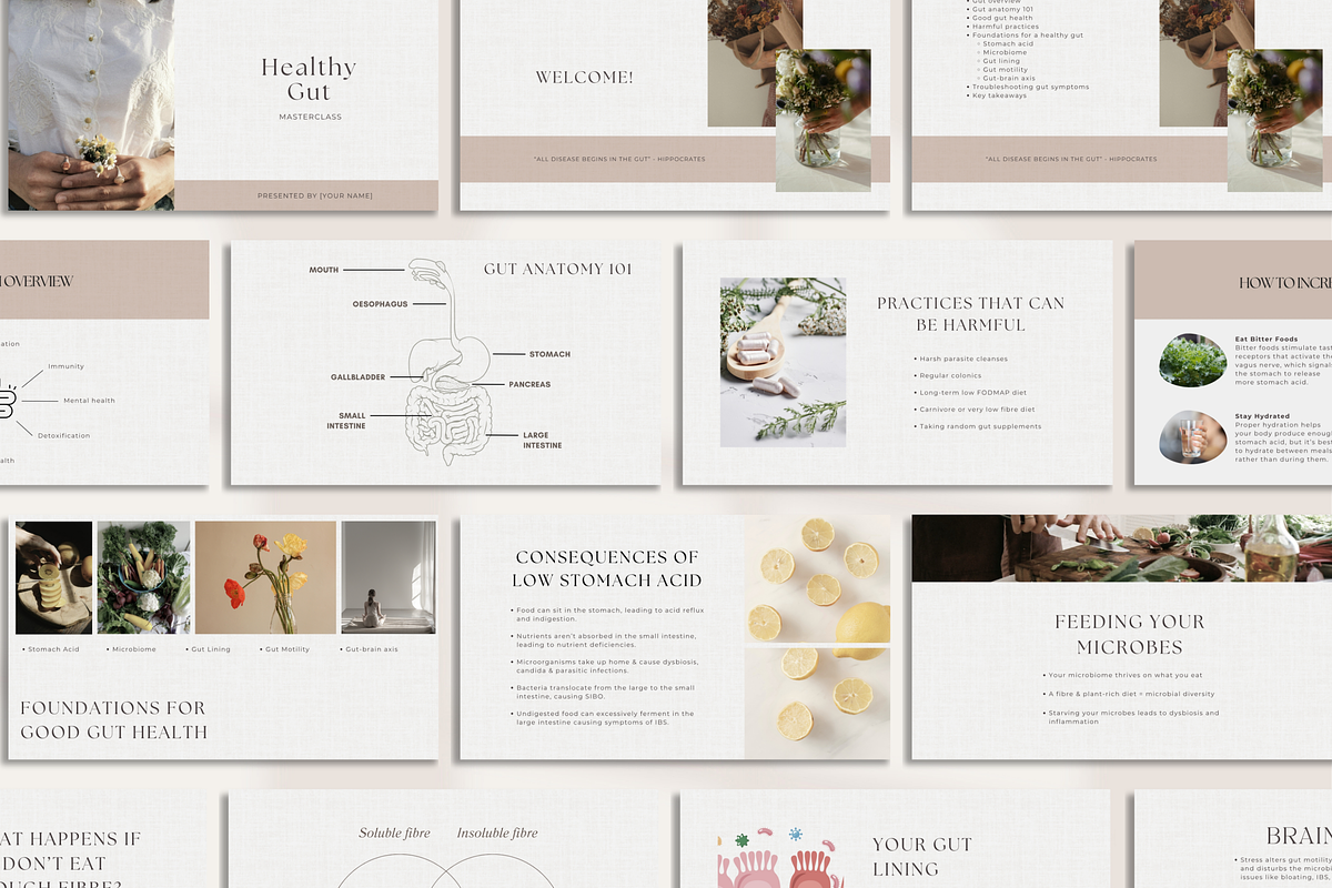 Gut Workshop Done-For-You Canva, a Presentation Template by Naturopath Hub (Photo 5 of 9)