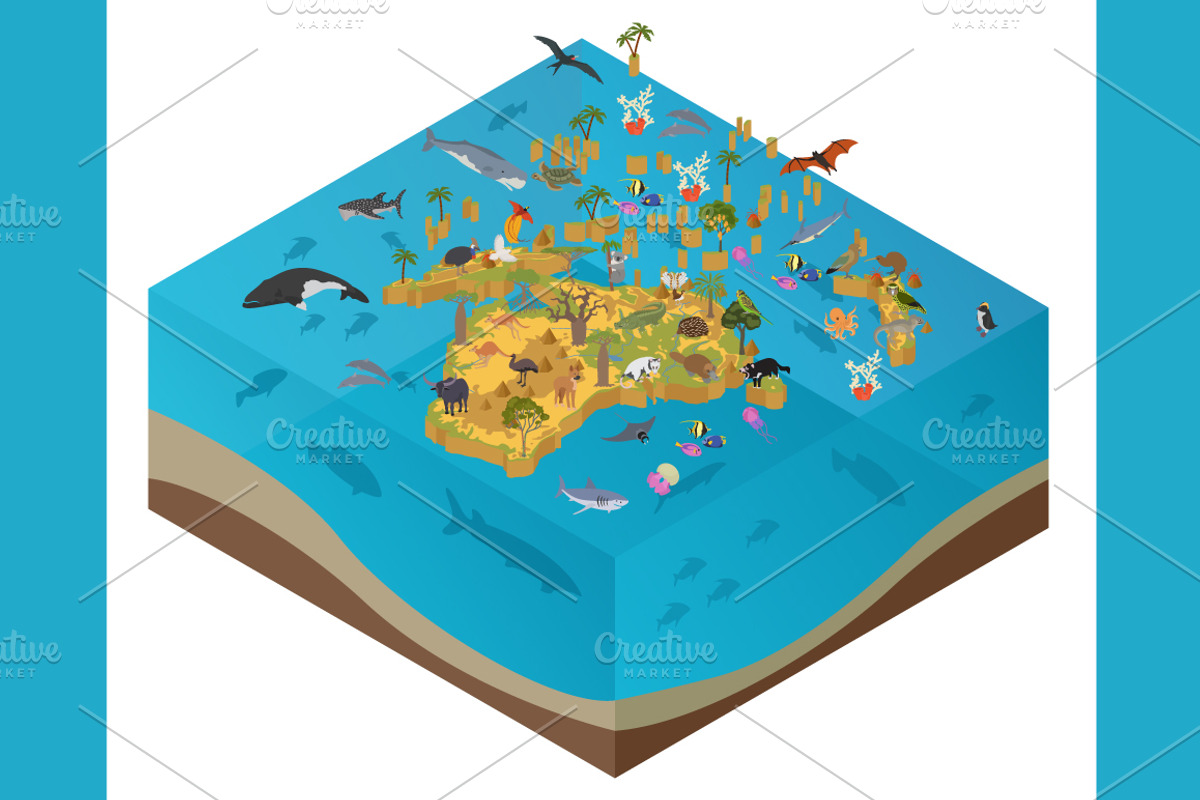 Australasia isometry flora&fauna map, an Animal Illustration by pet design shop (Photo 4 of 5)