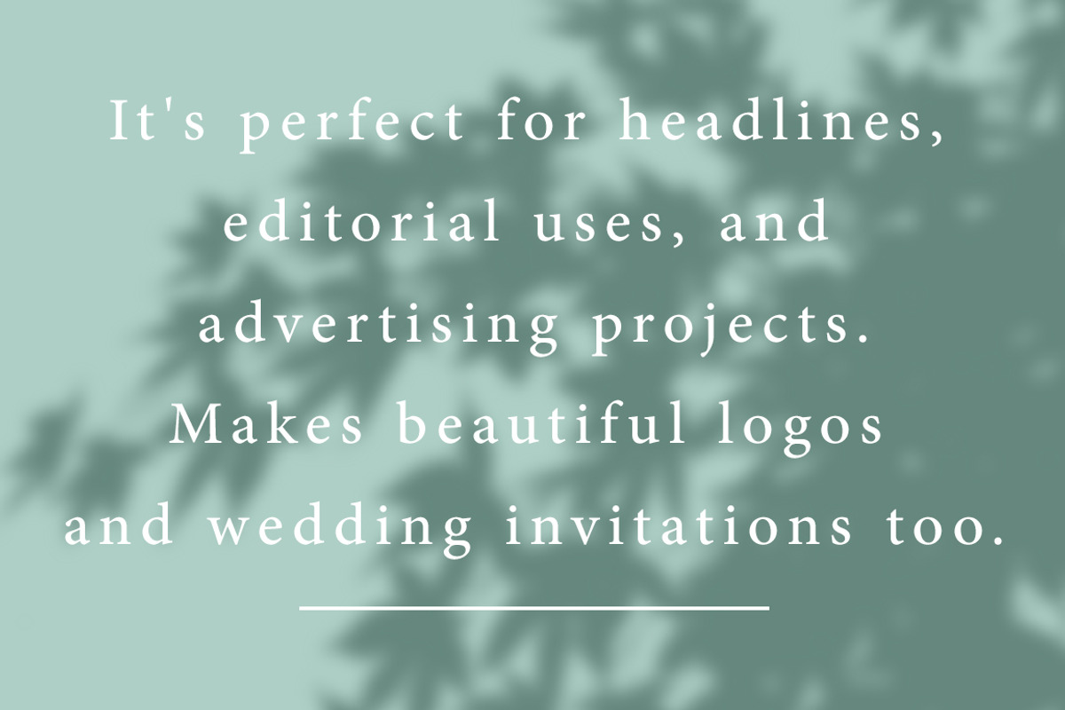 Verde Elegant Modern Font preview 7