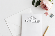 60+ Botanical Logo Elements, an Illustration by Madewest Supply Co. (Thumbnail 6 of 7)