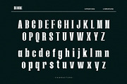 Negire, a Serif Font by Almeera Std (Thumbnail 2 of 6)
