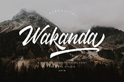 Wakanda Script Business Font, a Script Font by Creatype Studio (Thumbnail 1 of 9)
