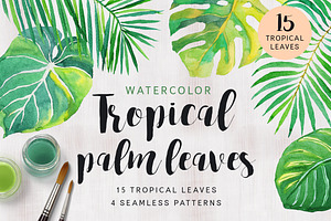 Tropical palm leaves