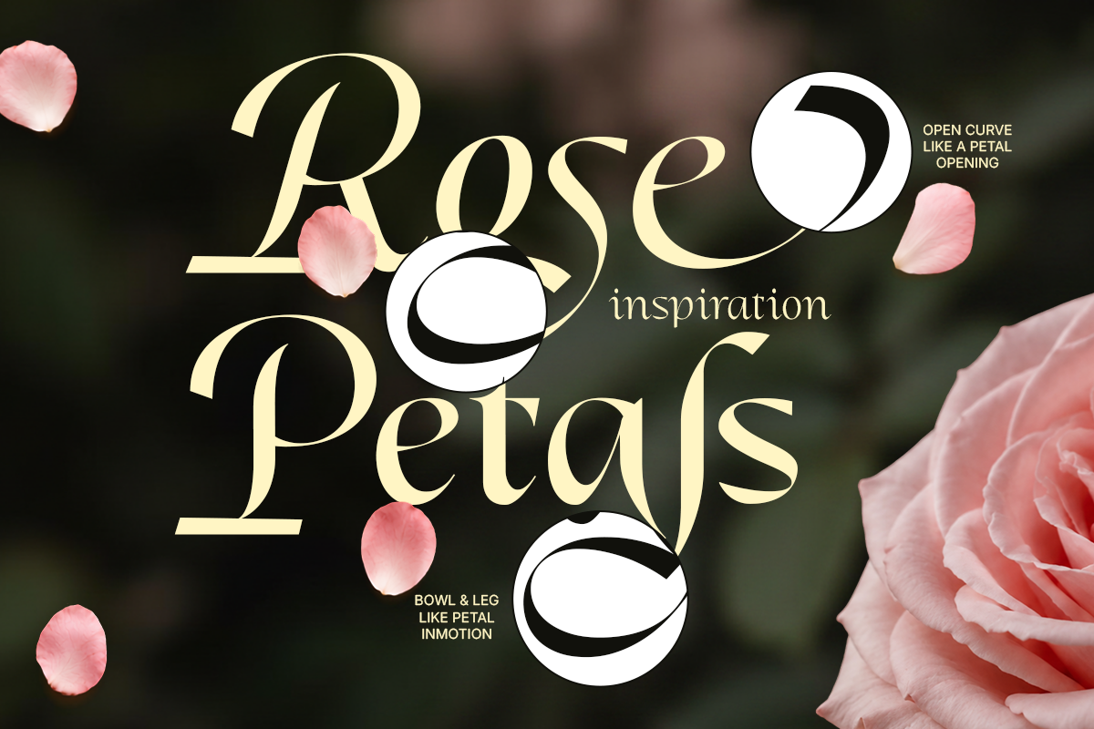 Dh Alani Rosle - 16 Branding Family, a Serif Font by Dharmas Foundry (Photo 2 of 15)
