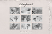 Whispering Lace: Collage Kit, an Object Graphic by TiriCo (Thumbnail 6 of 9)