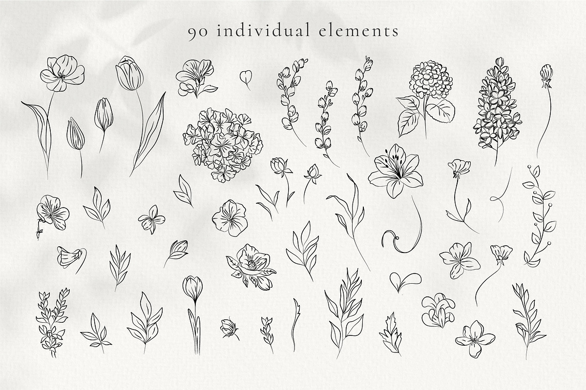 Minimalistic Spring Flowers Line Art, a Decorative Illustration by La Petite Line Art (Photo 2 of 12)