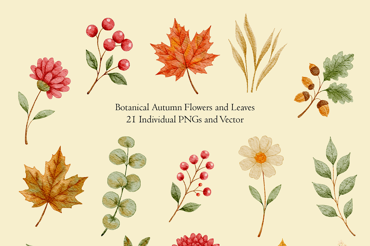 Cozy Autumn Collection, a Seasonal Illustration by An Design (Photo 2 of 6)