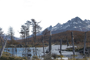 Dry forest and andes mountains isolated photo, a Nature Photo by DanFLCreativo