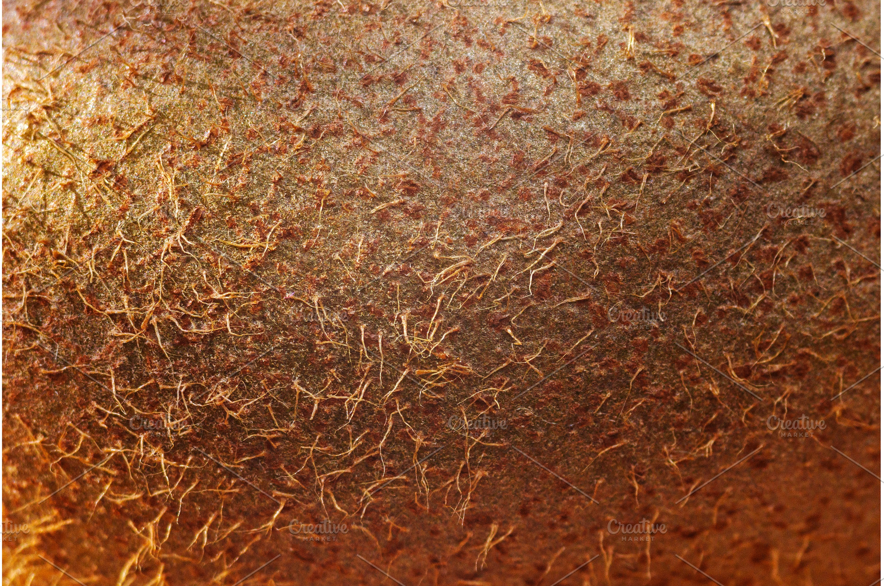 Detailed focus on the fuzzy texture, a Food & Drink Photo by darksoul72