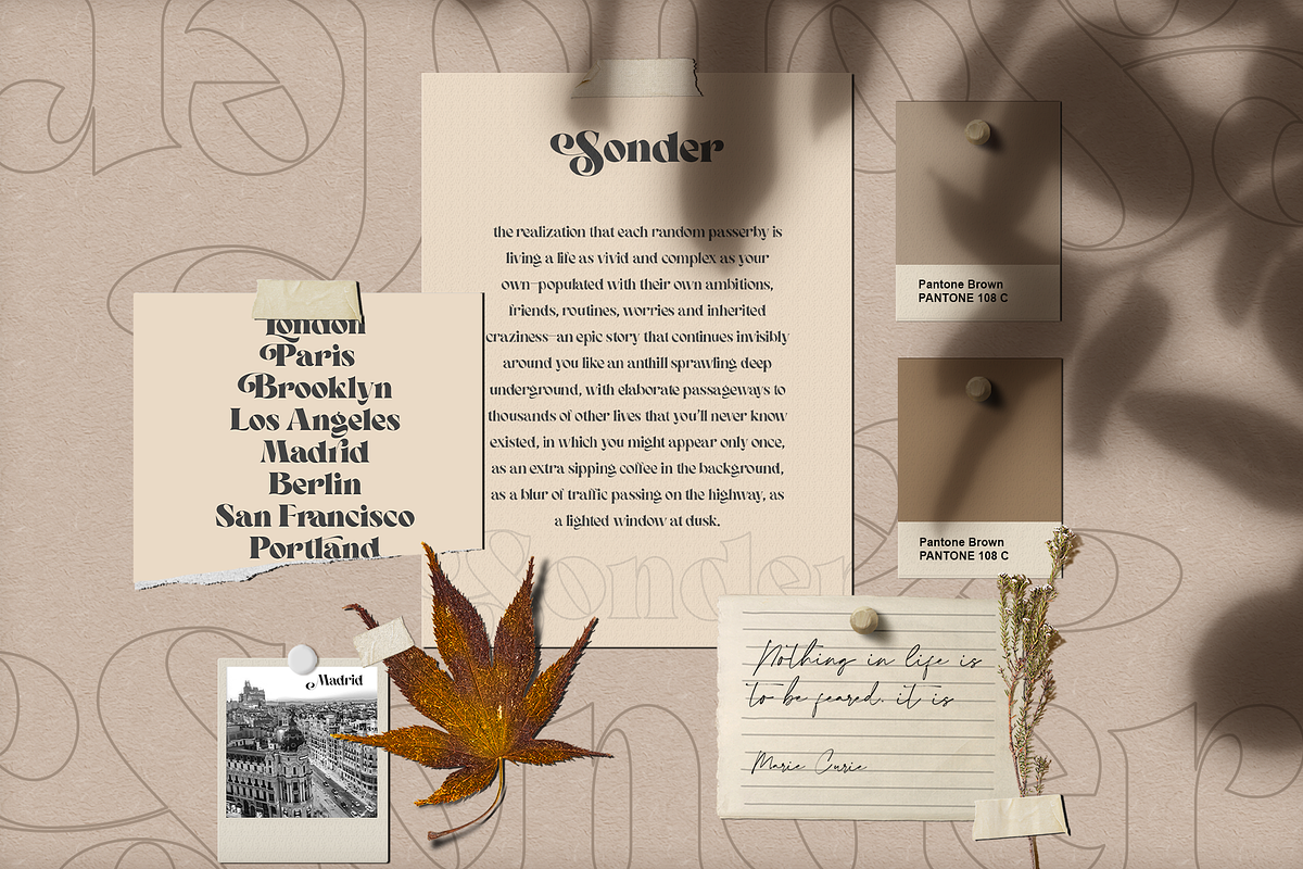 Sonder - Beautiful Serif Typeface, a Serif Font by 1871 Project (Photo 2 of 14)