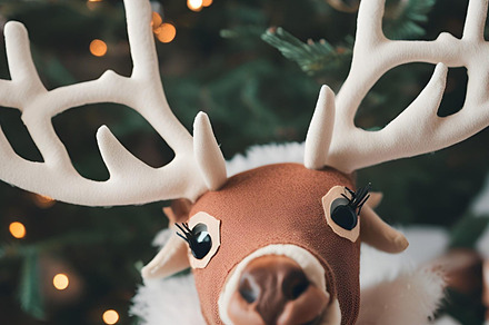 Cute christmas deer doll at home, an Animal Photo by ComfortQ